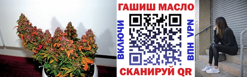 Дистиллят ТГК THC oil  купить закладку  Александров 
