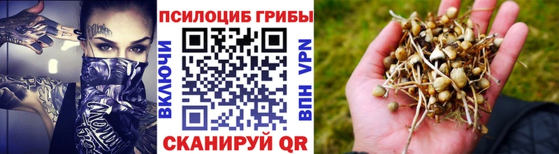 где можно купить Александров Галлюциногенные грибы ЛСД