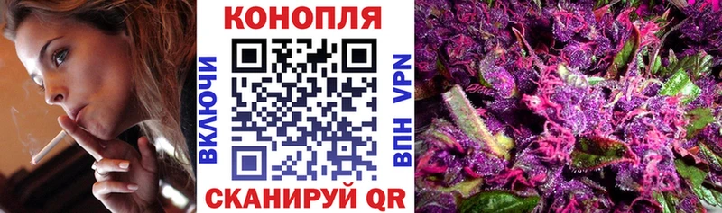 Канабис MAZAR  купить наркоту  Александров 